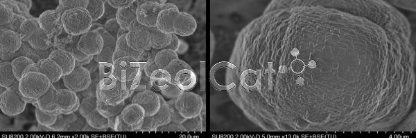 zeolites3